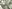 Close-up of a one-dollar bill